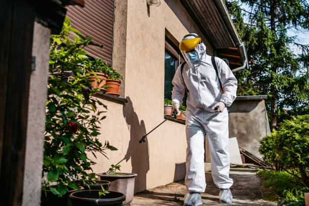 Best Insect Control  in Robertsville, NJ