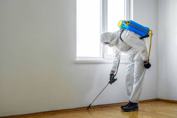 Best Exterminator Services  in Robertsville, NJ