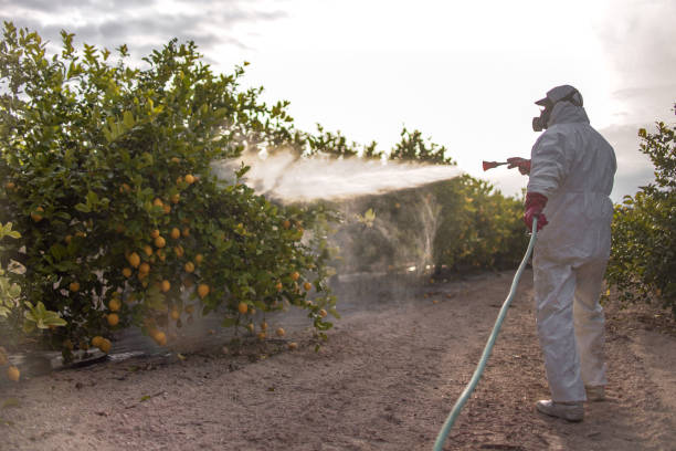 Pest Control for Restaurants in Robertsville, NJ