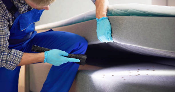 Trusted Robertsville, NJ Pest Control Experts