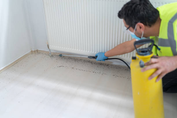 Best Affordable Exterminators  in Robertsville, NJ