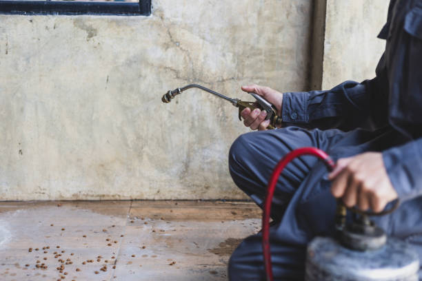 Best Affordable Pest Control Services  in Robertsville, NJ